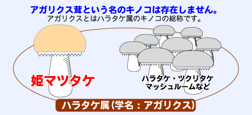 アガリクスというキノコは存在しません