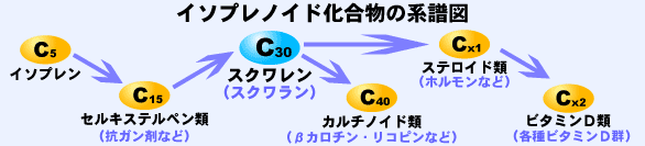 イソプレノイド化合物の系譜図