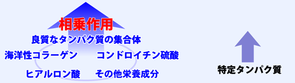 純粋なサメ軟骨の相乗効果