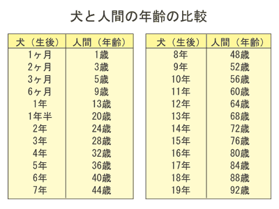 犬と人間の年齢の比較図