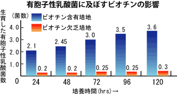 有胞子性乳酸菌に及ぼすビオチンの影響グラフ