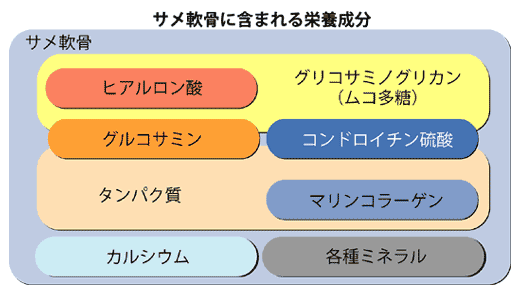 サメ軟骨に含まれる栄養素の図