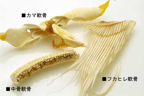 3種類のサメ軟骨部位の写真