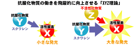 XYZ理論のイメージ図